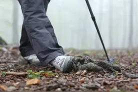 爬山摔肿了脚，老爷爷教我用山楂加冬瓜煮水，散瘀消肿恢复得真快图片