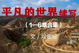 《平凡的世界》续写：6章合集图片