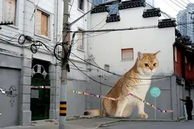 上海是懂可爱的！超多巨型萌猫炸街！老城厢变身“外滩猫街”！又时髦又好拍！图片