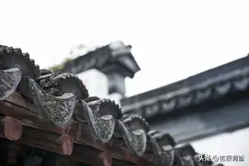 长春市三义胡同：百年老树见证了变迁，满满的大院风情让人流连忘返图片