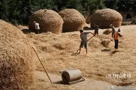 汤阴瓦岗：过去麦收的那些事儿图片