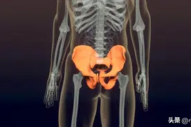 人体骨骼的架构，你知道多少？图片