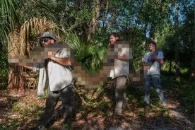3人扛！美国佛州有史以来最大缅甸蟒被捕，世界蛇王可能有多大？图片