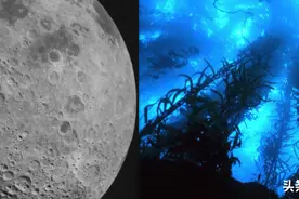 为什么科学家宁愿去探索月球背面也不去深海探索？海底有什么？图片