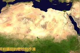 所有沙漠若都变成了森林，会如何？科学家：代价恐难以承受图片