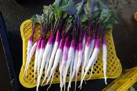 10种日本的奇葩蔬菜，你见过几个？图片