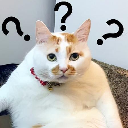 黑心蜂蜜乱象是谁在推波助澜？披露假蜂蜜造假过程，提高防范意识