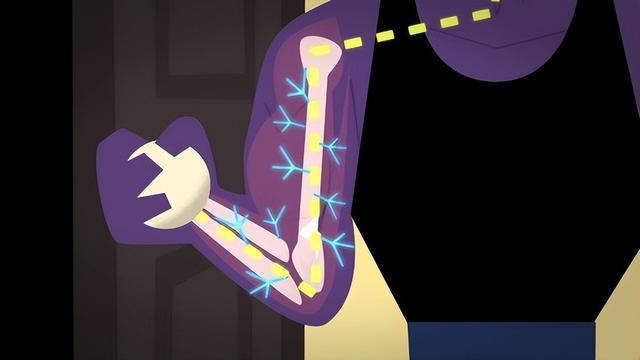 肌肉是如何生长的？