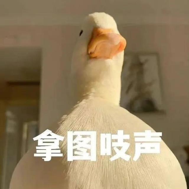 超飒漫画头像