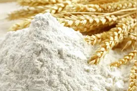 面粉新国标图片