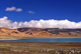 分享 常用成语分类图片