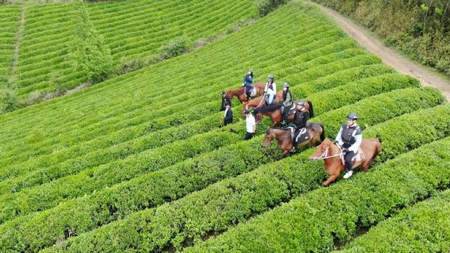 四川省民生研究会新媒体中心-官网