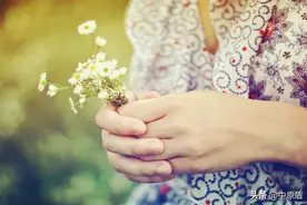 【晚安】被风吹过的夏天图片