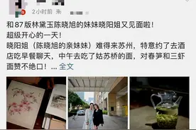 陈晓旭高颜值妹妹罕露面一头银发穿短裙秀美腿，姐妹气质大不相同图片