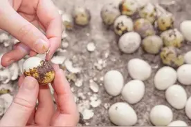 湖北农村酒席必不可少的一道菜全家福原来这么做怪不得经久不变图片