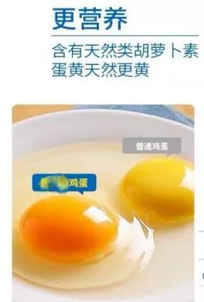 鈥滄棤鑿岃泲鈥濇洿瀹夊叏锛熸娴嬫暟鎹憡璇変綘