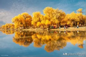 国家民政部内蒙古93版行政区划代码（身份证前六位）图片