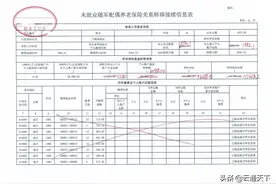 关于随军未就业家属养老保险转移接续信息表计算方法图片