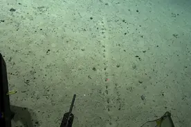 外媒：神秘的海底洞状结构难倒海洋科学家图片