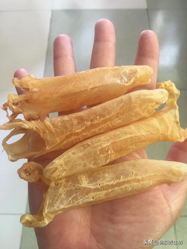 巴沙片鱼胶 巴沙鱼胶的食用方法