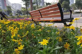 两种生意劝你“抢着干”，两种生意劝你“不要干”？图片