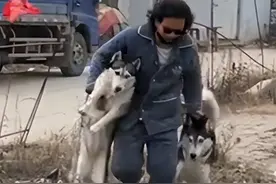 第一批胆敢带狗回老家的人，已经被狗遛疯了图片