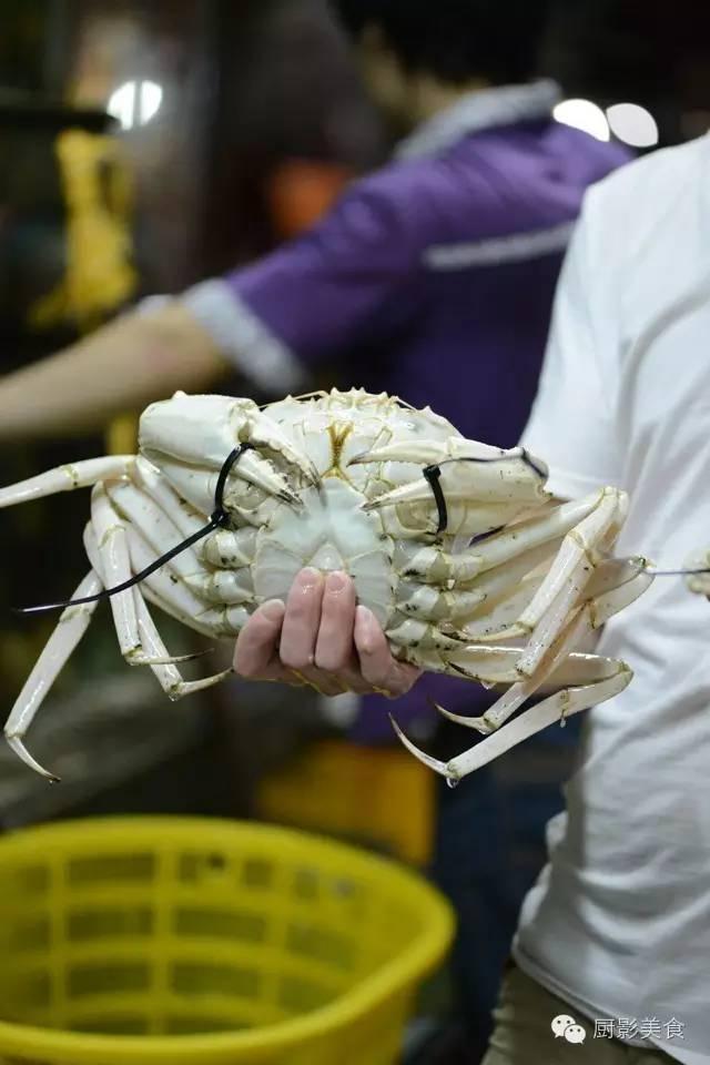 40头的花胶是几级 2025年花胶40头是什么意思?