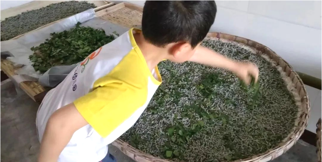 四川省民生研究会新媒体中心-官网