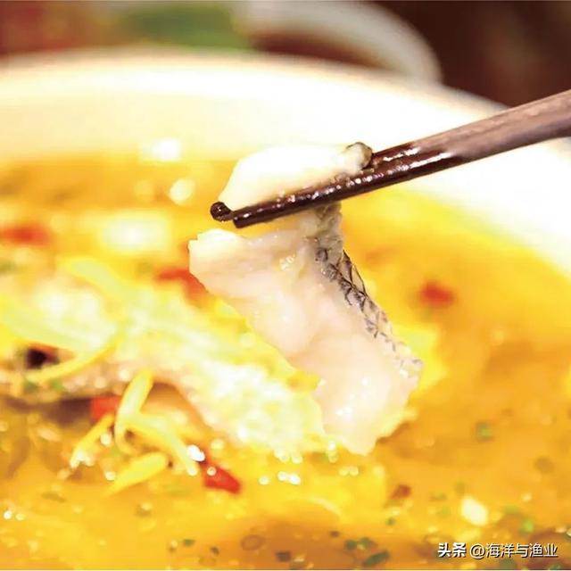 花胶燕麦焗海参 2026年花胶燕麦焗海参好吃吗
