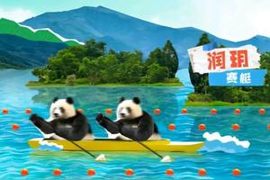 成都大运会上的熊猫代表团 ! 果然花花只配做拉拉队啊!图