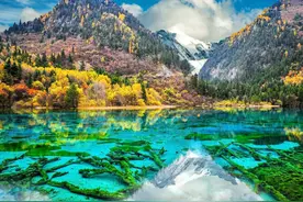 老年人的福利，这些景区65岁以上老人免门票图片