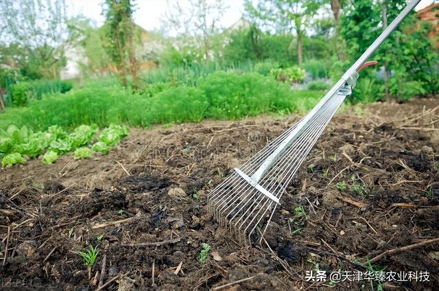 最近氨基酸火了？氨基酸在不同农作物上使用方法，老农民：要增产