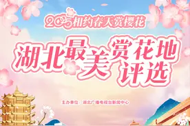 快收藏！2025湖北17市州最新赏樱地图出炉图片