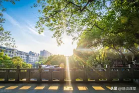 中南大学2023年推免简况图片