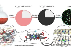 NSR | 模型单原子纳米酶桥联氧化酶催化和氧还原电催化图片