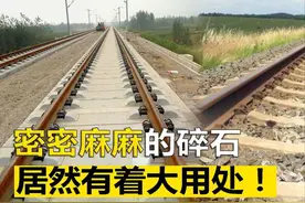 同样都是铁轨，为何高铁轨道干干净净，火车轨道却全是石子？图片