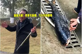 成都北湖抽水清淤，众人赶来捞鱼，捕鱼者：几十斤的鱼都有图片