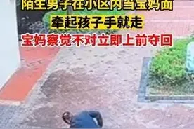 陌生男子在小区内当宝妈面牵起孩子手就走 宝妈察觉不对立即上前夺回图片