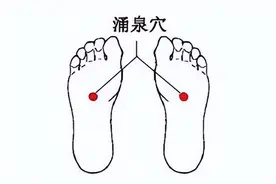 夏季养生重“养心”，清心除烦有“三宝”图片