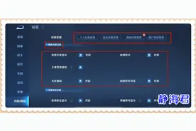 王者荣耀：「隐私」的设置很重要，一旦用好，再也不怕被亲戚举报图片