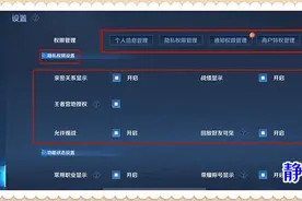 王者荣耀：「隐私」的设置很重要，一旦用好，再也不怕被亲戚举报图片