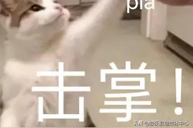 终于等到了！年度榜单出炉！图片