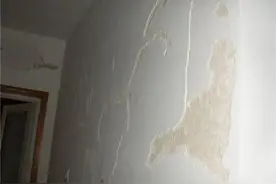 墙面发霉、掉皮？看看老师傅怎么说！图片