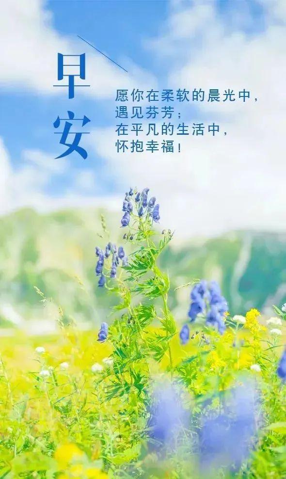 「2022.05.10」早安心语,正能量最美语录分享 早上好励志暖心短句