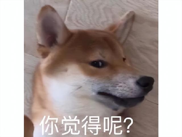体验了2年的武侠游戏终于上架，玩家却高兴不起来，差评已过半