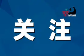 省厅抢速度、强调度，保障又一批项目用地需求图片