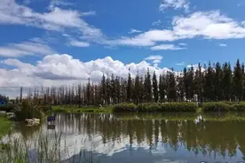 最新通告！昆明两湿地公园临时关闭图片
