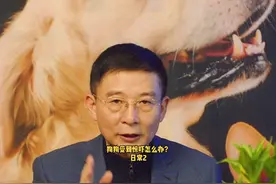 狗狗受到惊吓怎么办？#狗狗 #狗狗行为心理 #宠物知识 视频封面