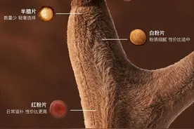 吃鹿茸是智商税吗？备孕适合吃鹿茸吗？图片