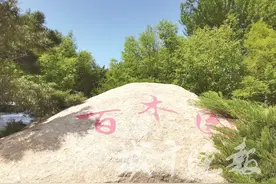 网红打卡地长春百木园：藏在繁华闹市中的城市绿肺图片